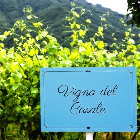 Agriturismo Guerritore バロニッシ エクステリア 写真