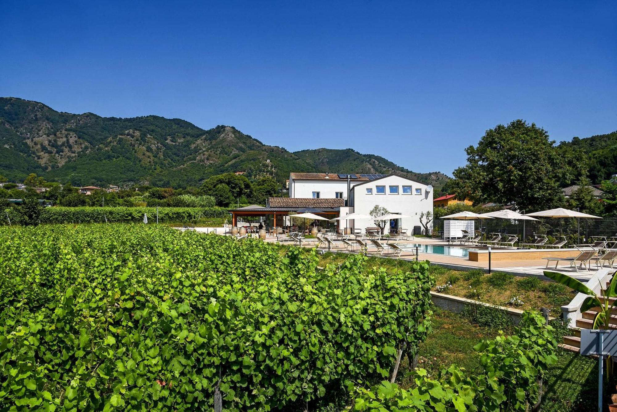 Agriturismo Guerritore バロニッシ エクステリア 写真